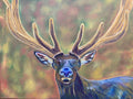 Elk Painting: