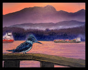 "The Kingfisher – Vancouver, BC" The Art Shop | Artist Graham Watts