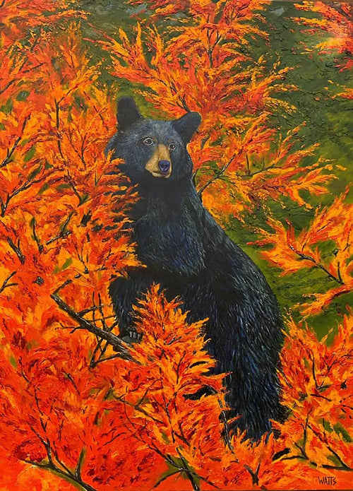 BELLA black bear art print, limited edition canvas wildlife print by Canadian artist Graham Watts