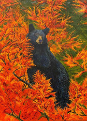 BELLA original black bear wildlife oil painting with autumn foliage by Canadian artist Graham Watts